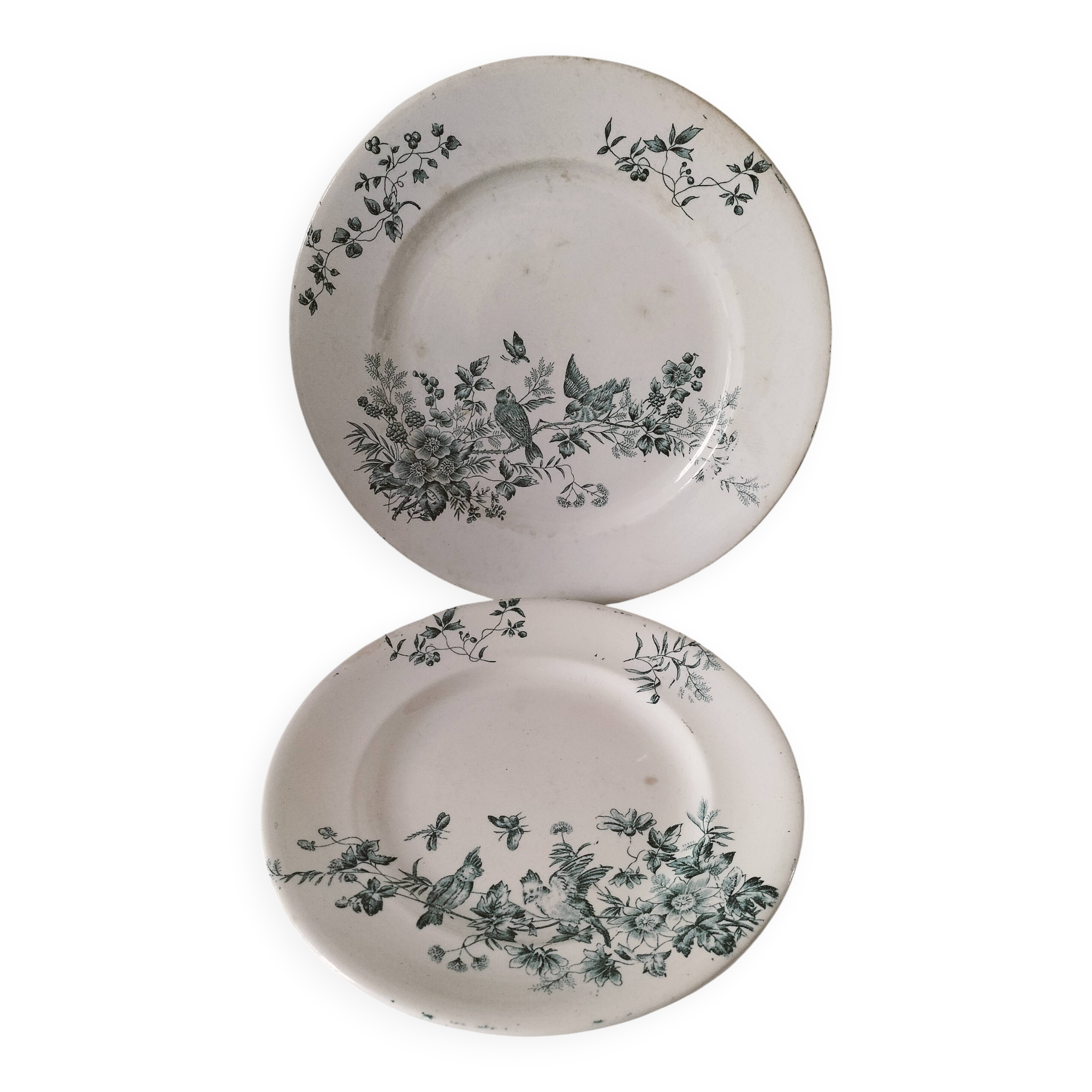 Longwy Mignon Duo – dinner plate and dessert