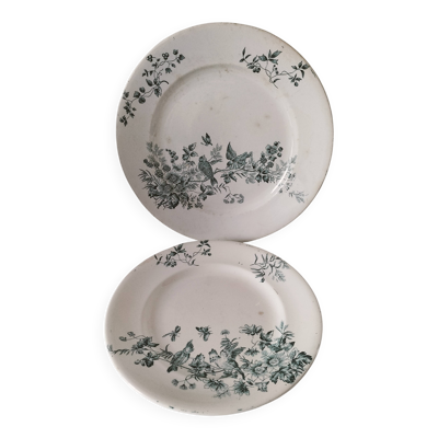 Duo Longwy Mignon – assiette plate et dessert