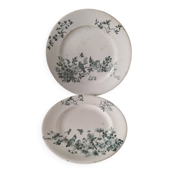 Duo Longwy Mignon – assiette plate et dessert