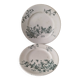 Duo Longwy Mignon – assiette plate et dessert