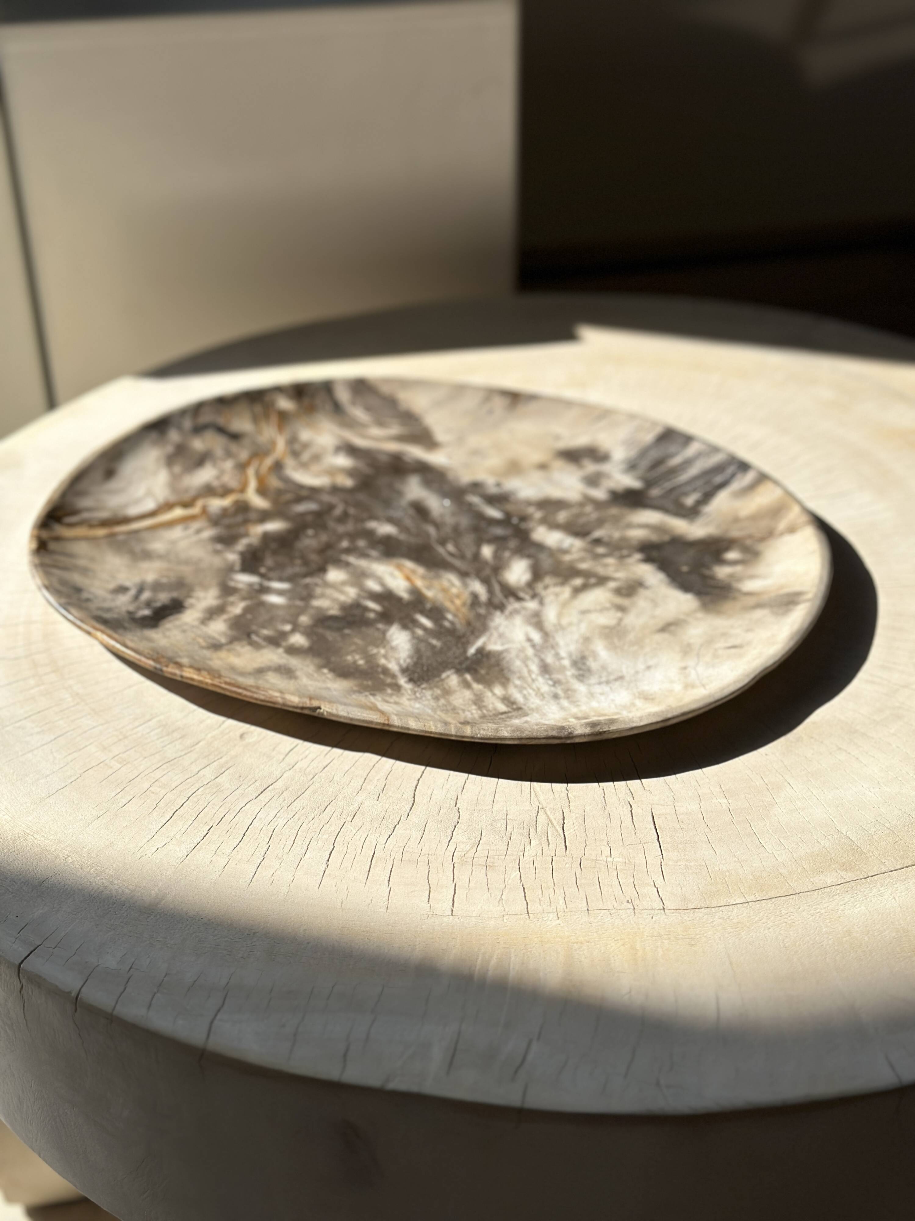 Very large pocket or dish in petrified wood