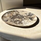 Very large pocket or dish in petrified wood