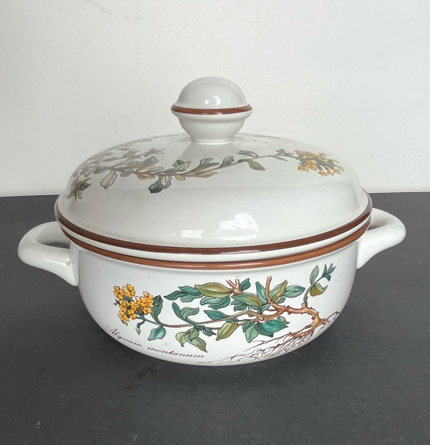 Villeroy and Boch Bitanica tureen