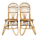 Bamboo and Rattan Chair by Dirk Van Sliedregt for Rohe Noordwolde