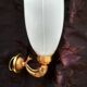 Golden brass wall light with glass tulip - dolphin pattern bathroom lamp