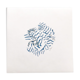 Illustration marinière ball