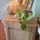 Antique grand buffet in solid oak – Louis XV style – Bleached wood –