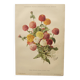 Botanical print from 1897 - Elegant Zinnia - vintage lithograph by Godard