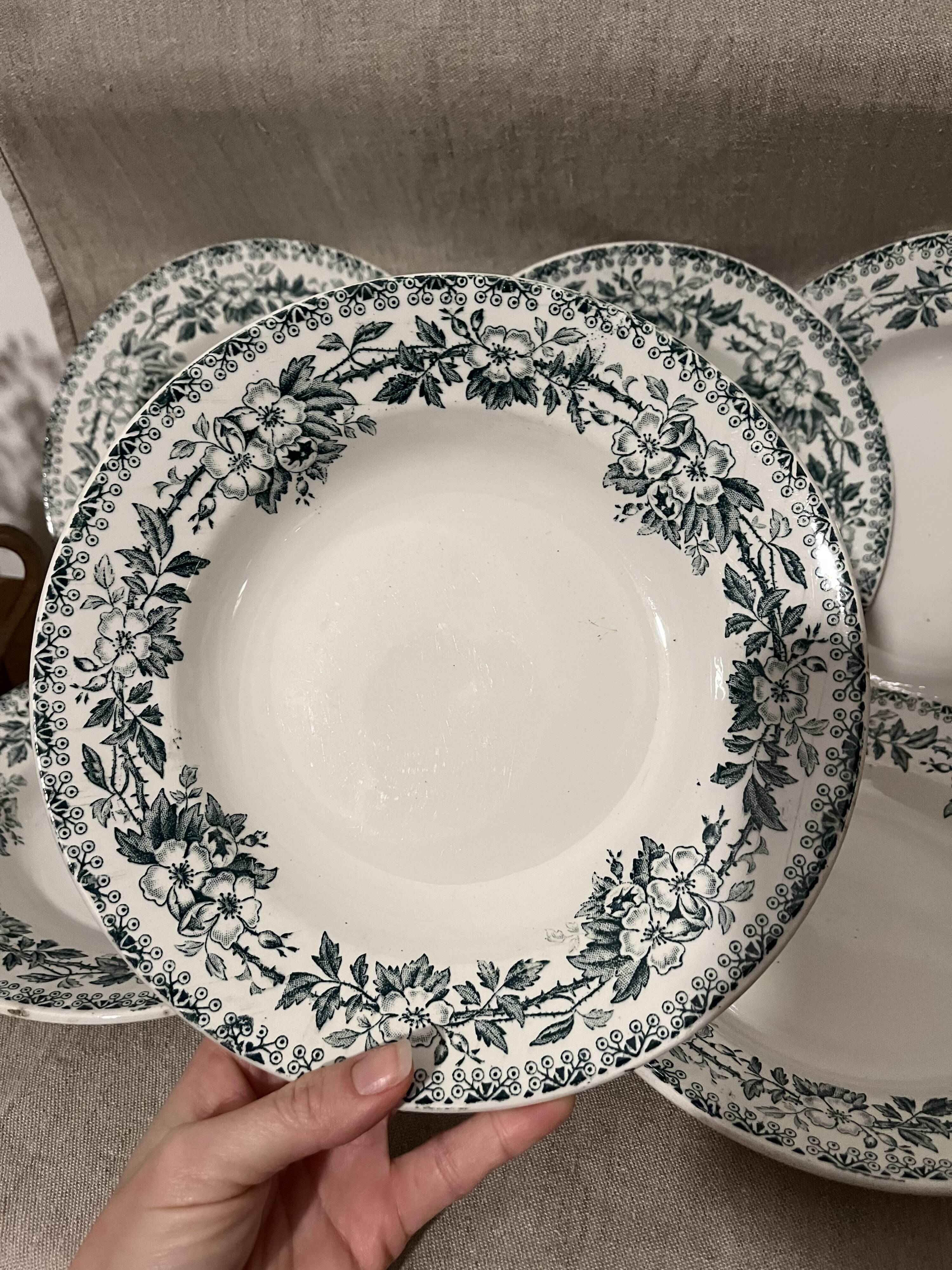Lot 6 soup plates Guadeloupe Saint Amand