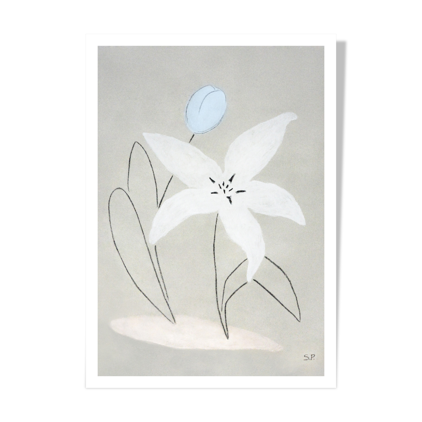Fleurs "Lilia" - Impression d'art A4