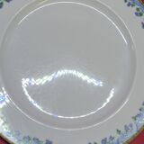 5 large flat plates guy degrenne model tuscany porcelain limoges