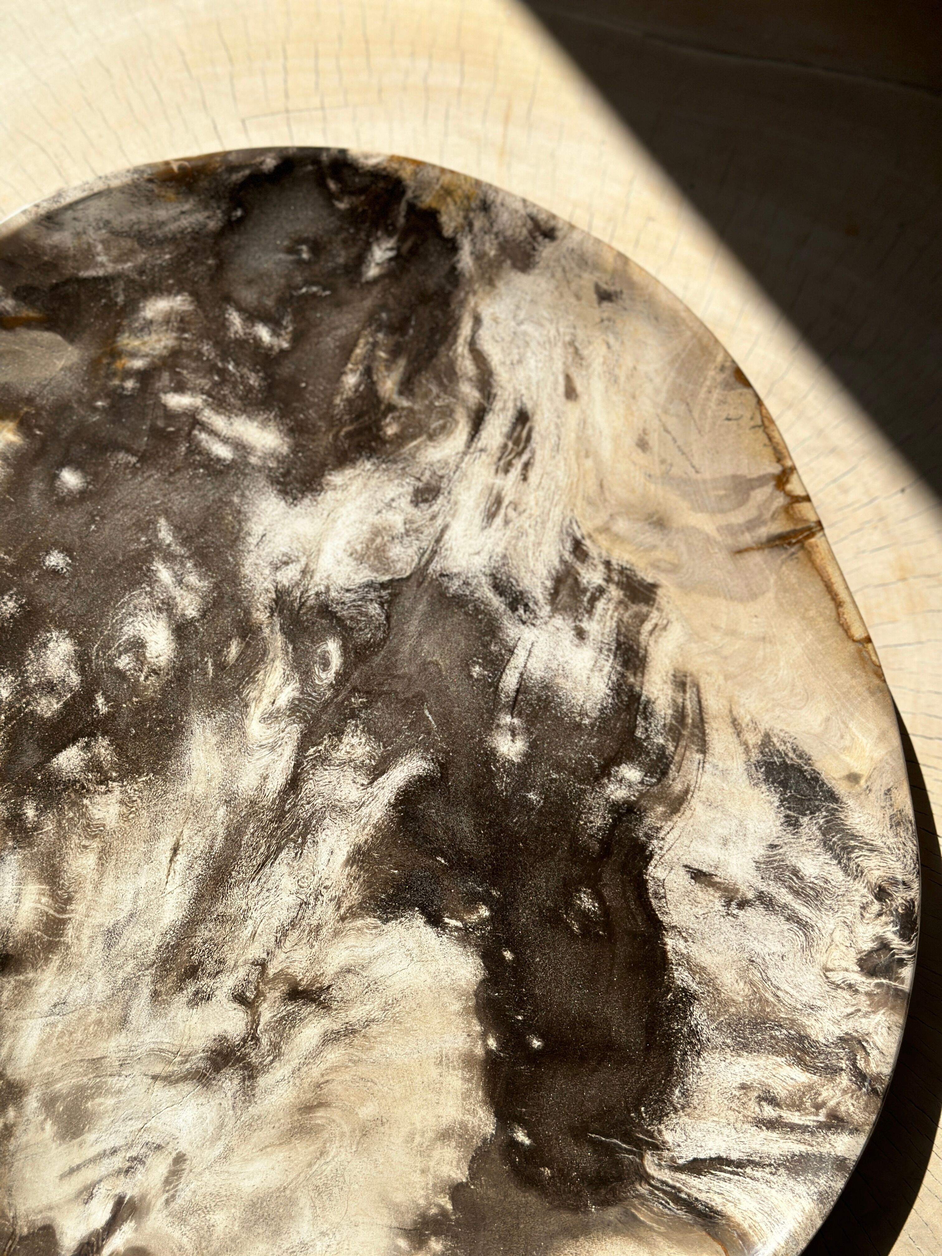 Very large empty pocket or petrified wooden flat