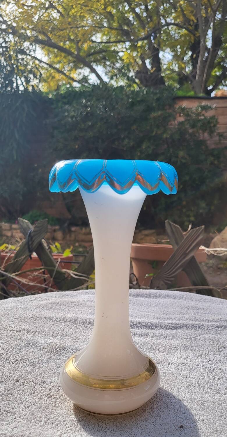 Vase in soapy opaline and flag blue corolla