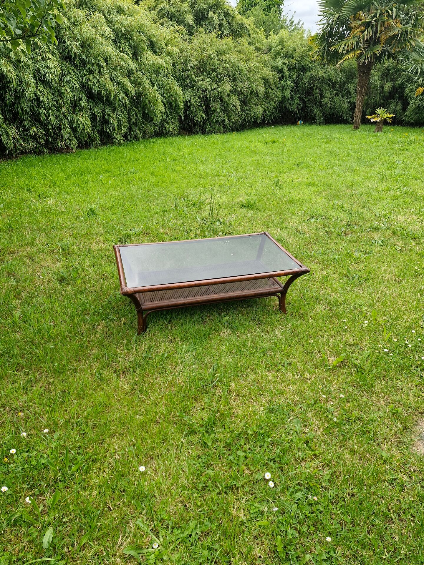 Table basse en bambou et rotin
