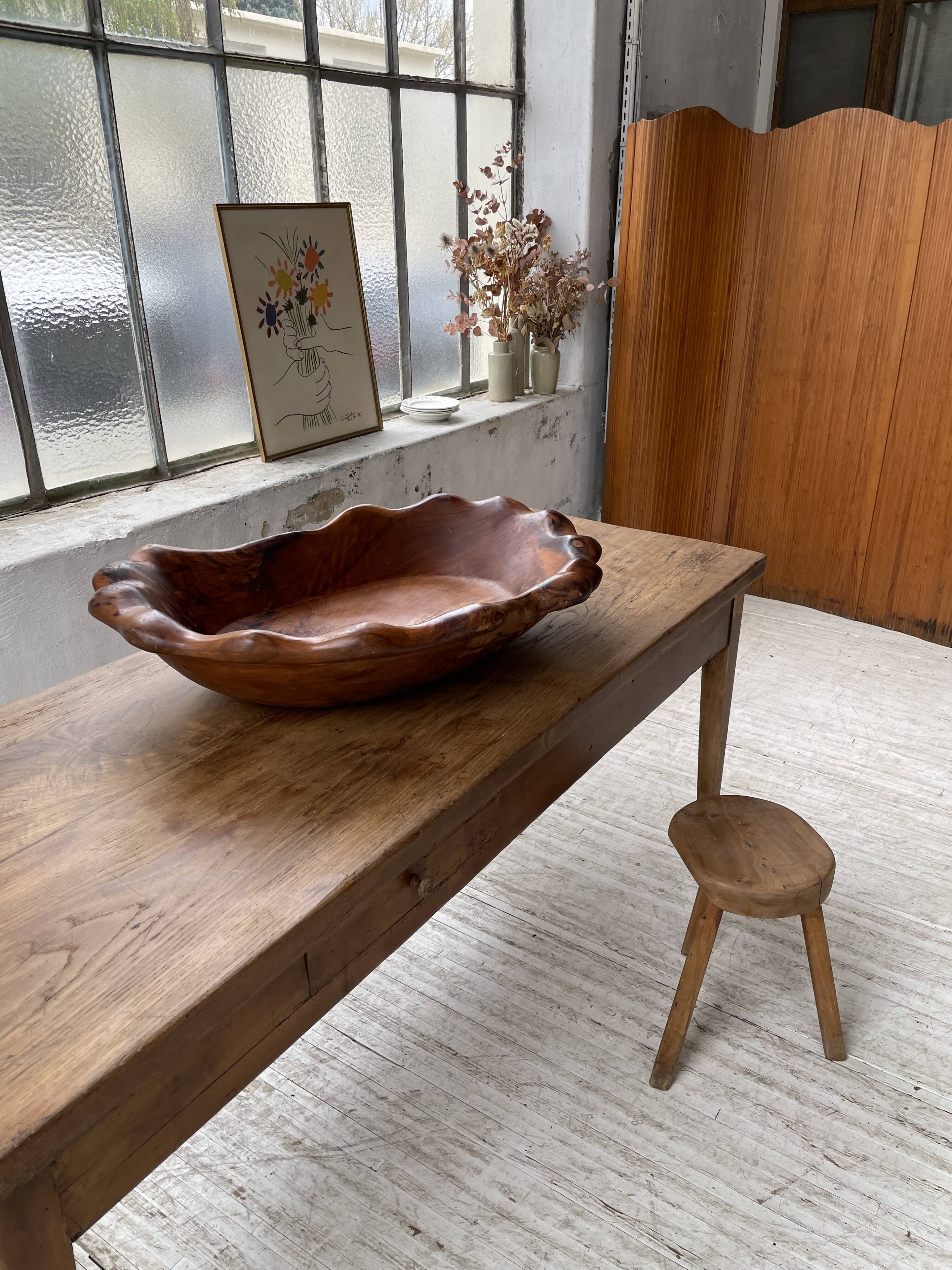 XL thuja root wooden dish