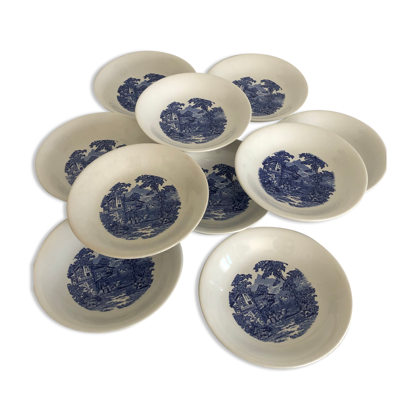 Set de 10 assiettes creuses Luneville tradition