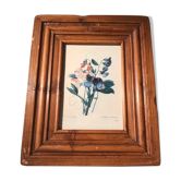 Former botanical plank felt wood signed langlois - vintage wood frame