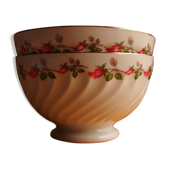 Lunch bowl with foot Gien porcelain floral decoration polychrome and gold