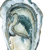 Paule, oyster 3, art print 20/30cm