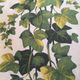 Cushion in old canvas Romanex 50s Ivy decor 40x60cm