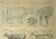 Antique lithograph 1921 - cow anatomy - Educational engraving
