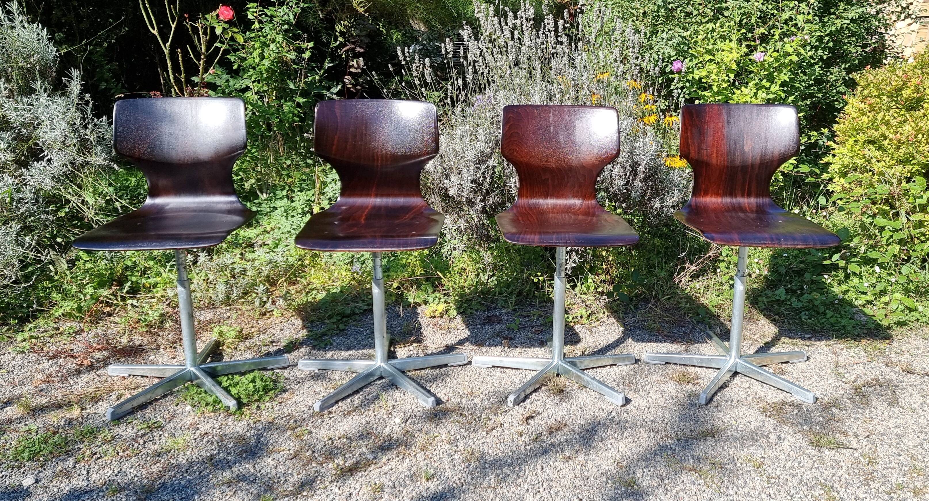 4 Pagwood Pagholz Flototo chairs from the 70s