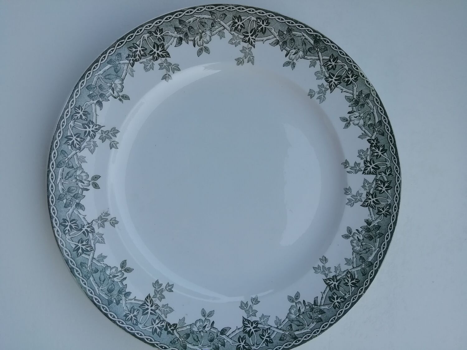 Iron earth dish