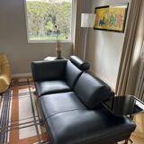 Roche Bobois sofa