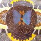 Butterfly wood top