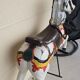 Authentic Carousel Horse (Fairground Art 1940-1950)