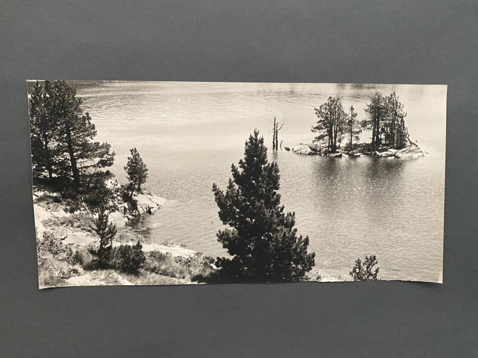 Lot de 3 photos anciennes Bernard Darot Lac Ile Sapins XXe