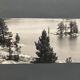 Lot de 3 photos anciennes Bernard Darot Lac Ile Sapins XXe