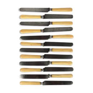 Série de douze couteaux