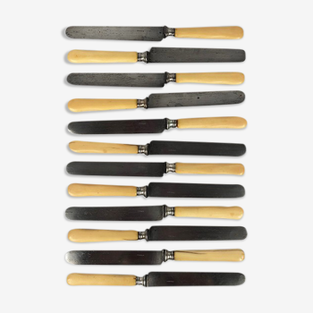Series of twelve old knives bone handles and steel blades