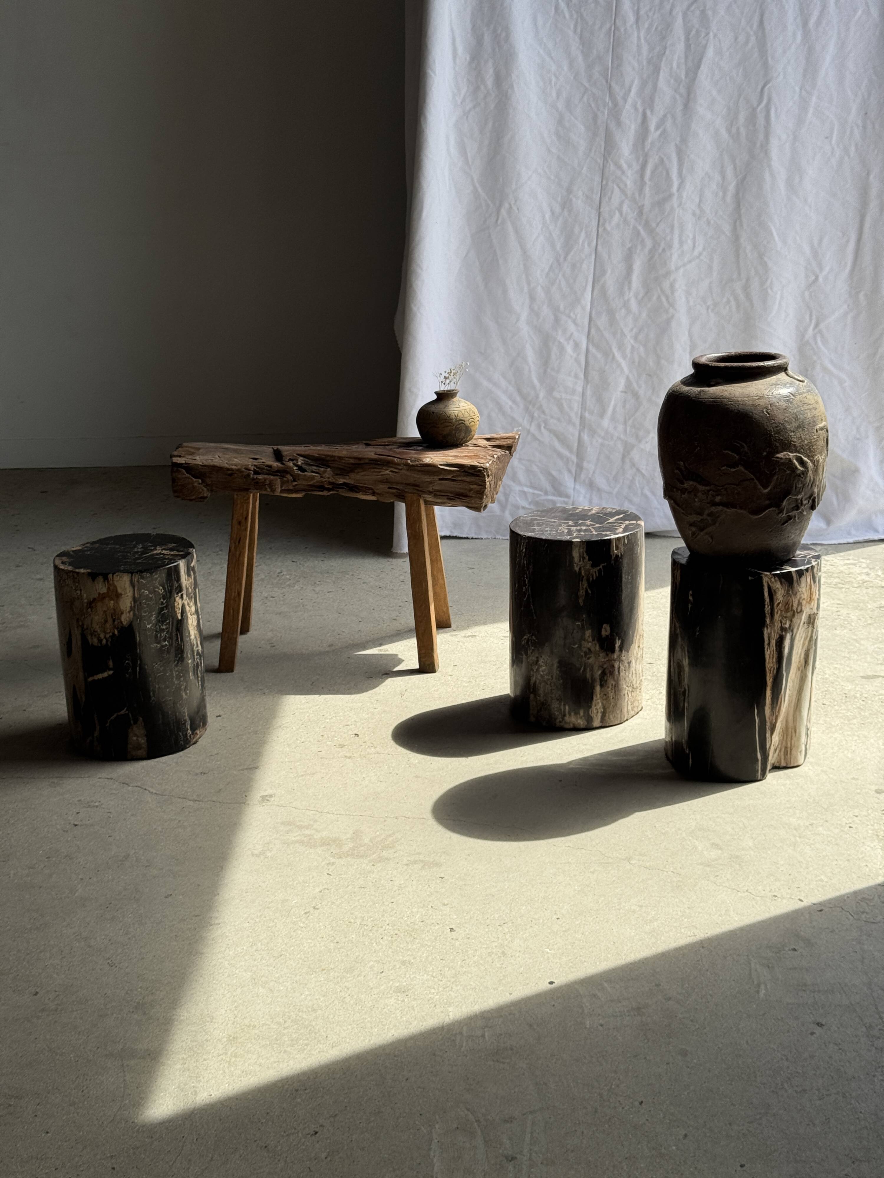 Black petrified wood side table with beige side H35 D24 - 3352