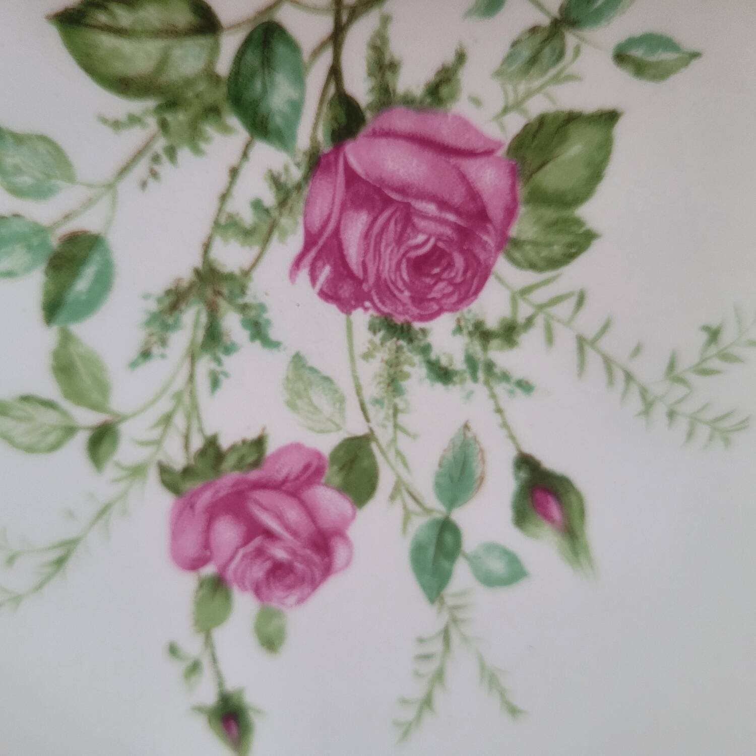 Gien 50s dinner plates