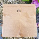 Herbarium frame
