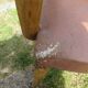 2 bridge chairs