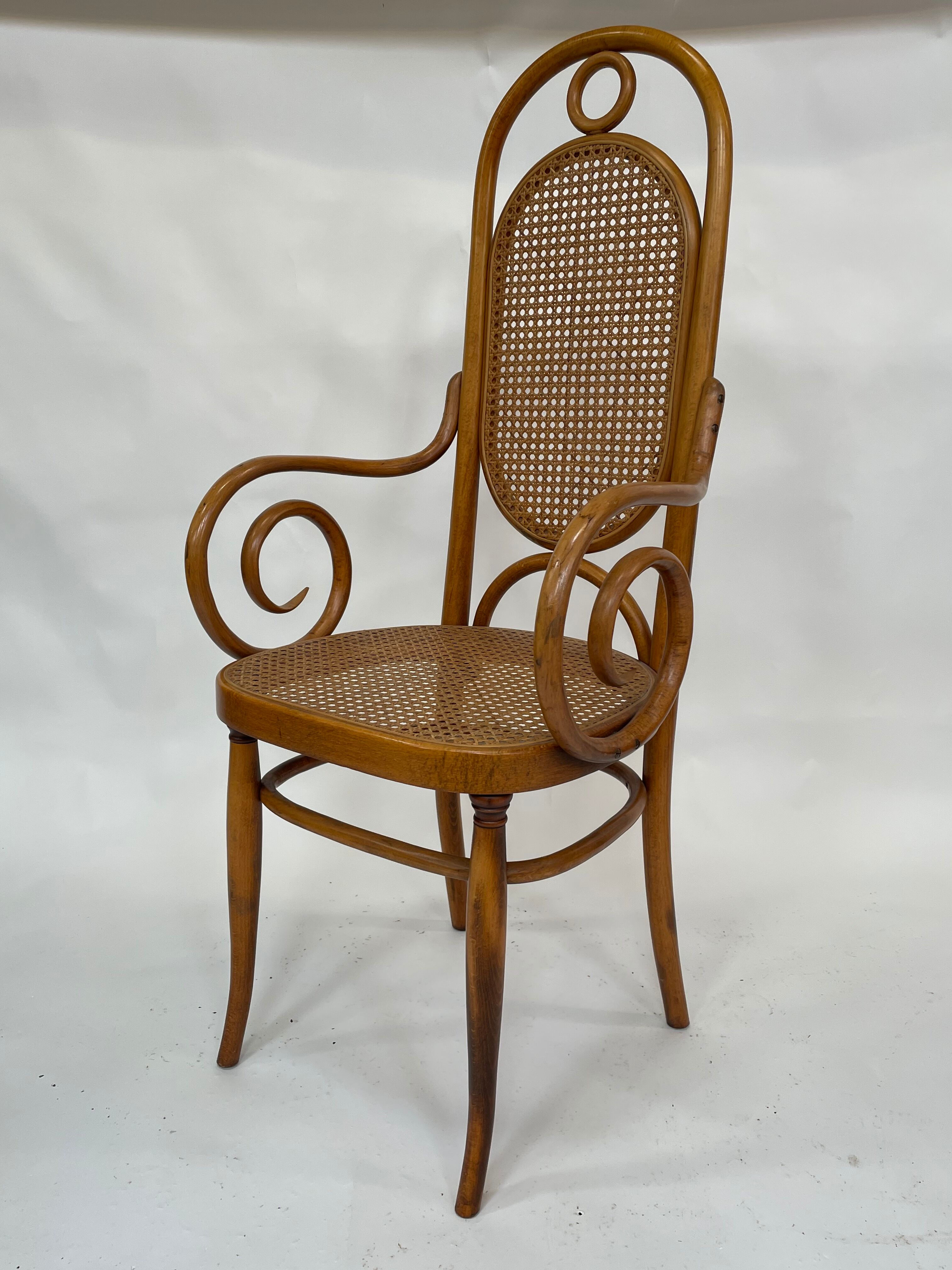 Sculptural bendwood side chair model