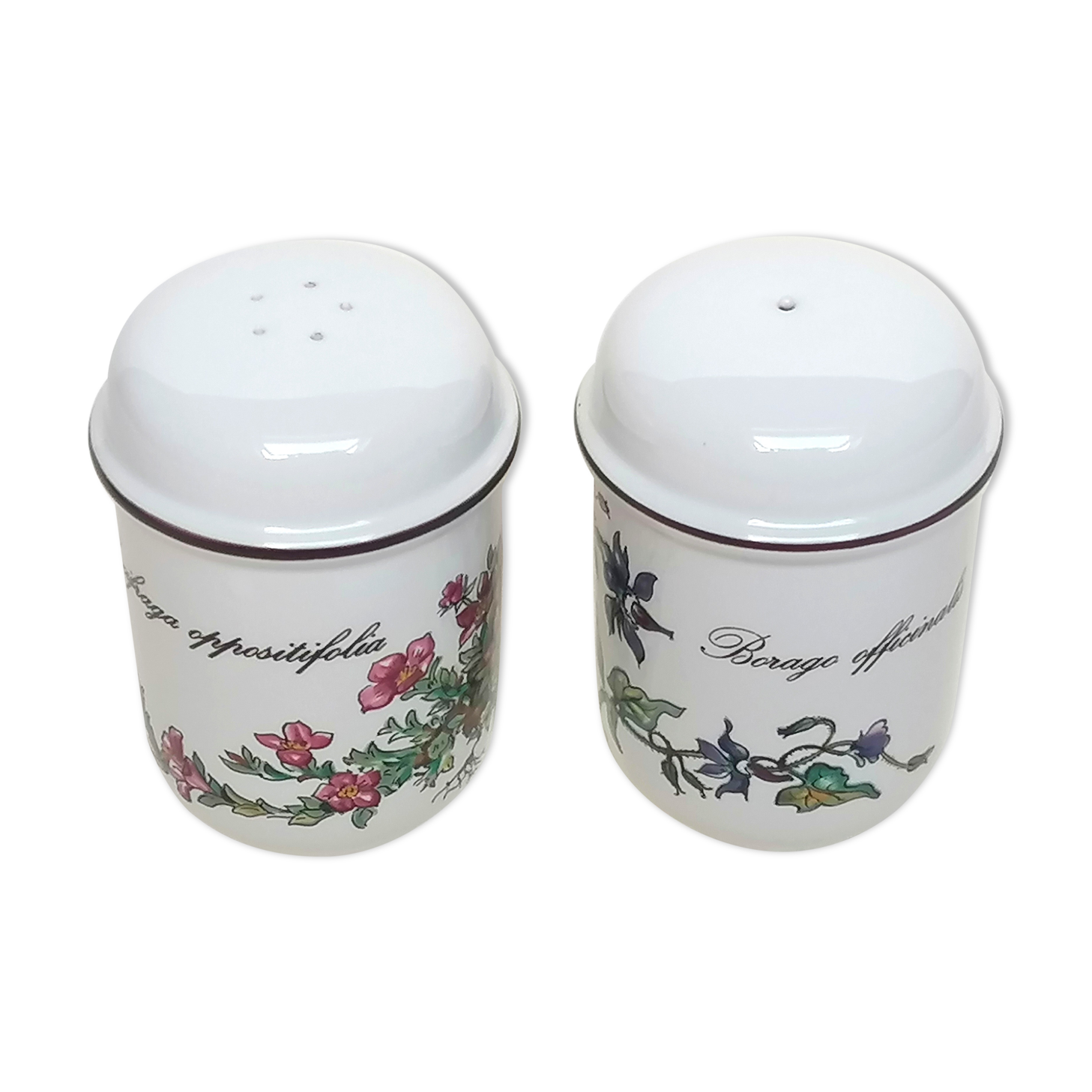 Salière and pepper shaker Villeroy and Boch botanical decoration