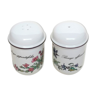 Salière and pepper shaker Villeroy and Boch botanical decoration