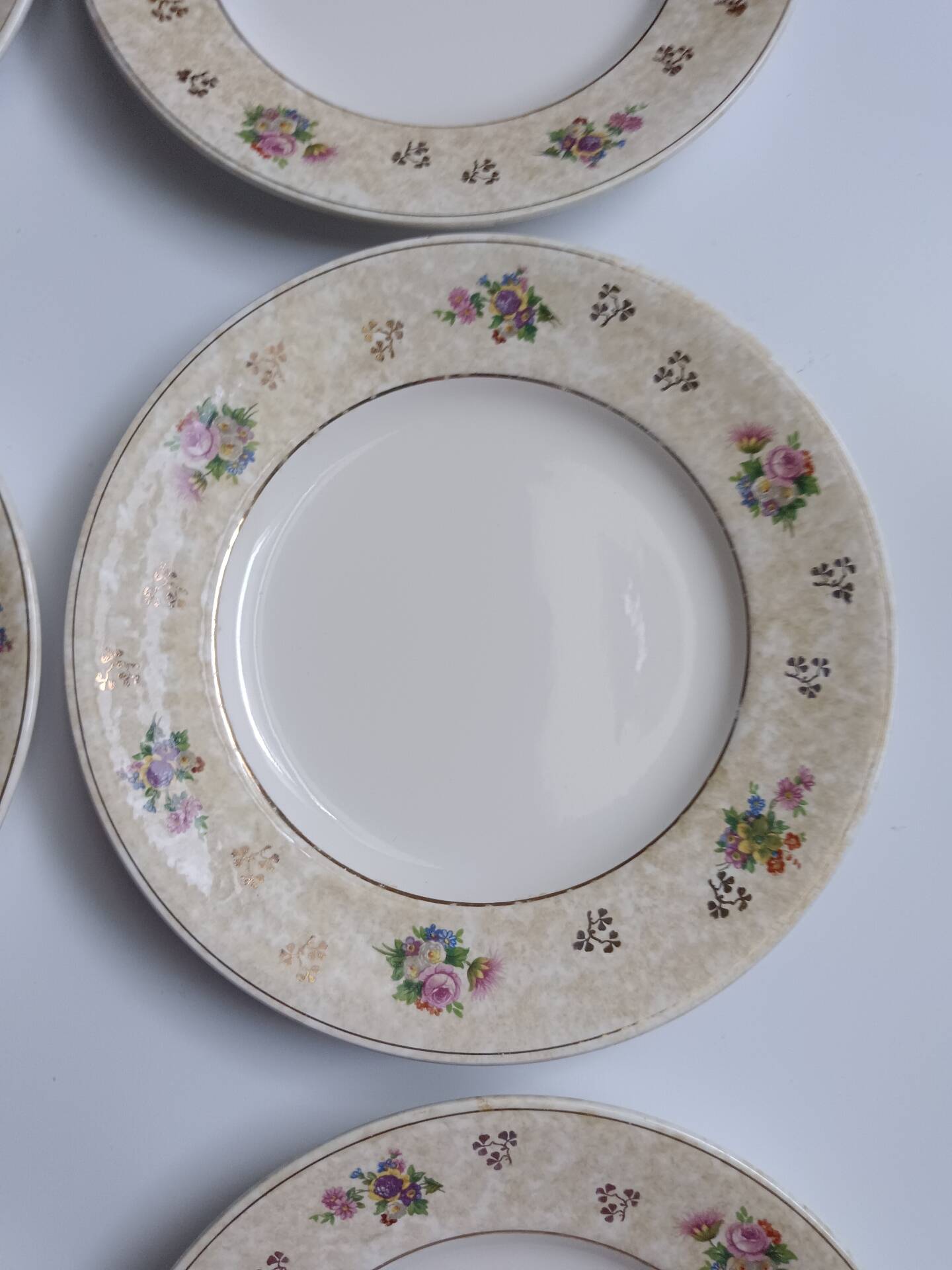 Set of 6 flat plates Salins model Simone beige with flowers.