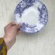 Dessert plates Sarreguemines model Jardinière 19th century