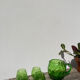 4 green water glasses and vintage blown glass carafe