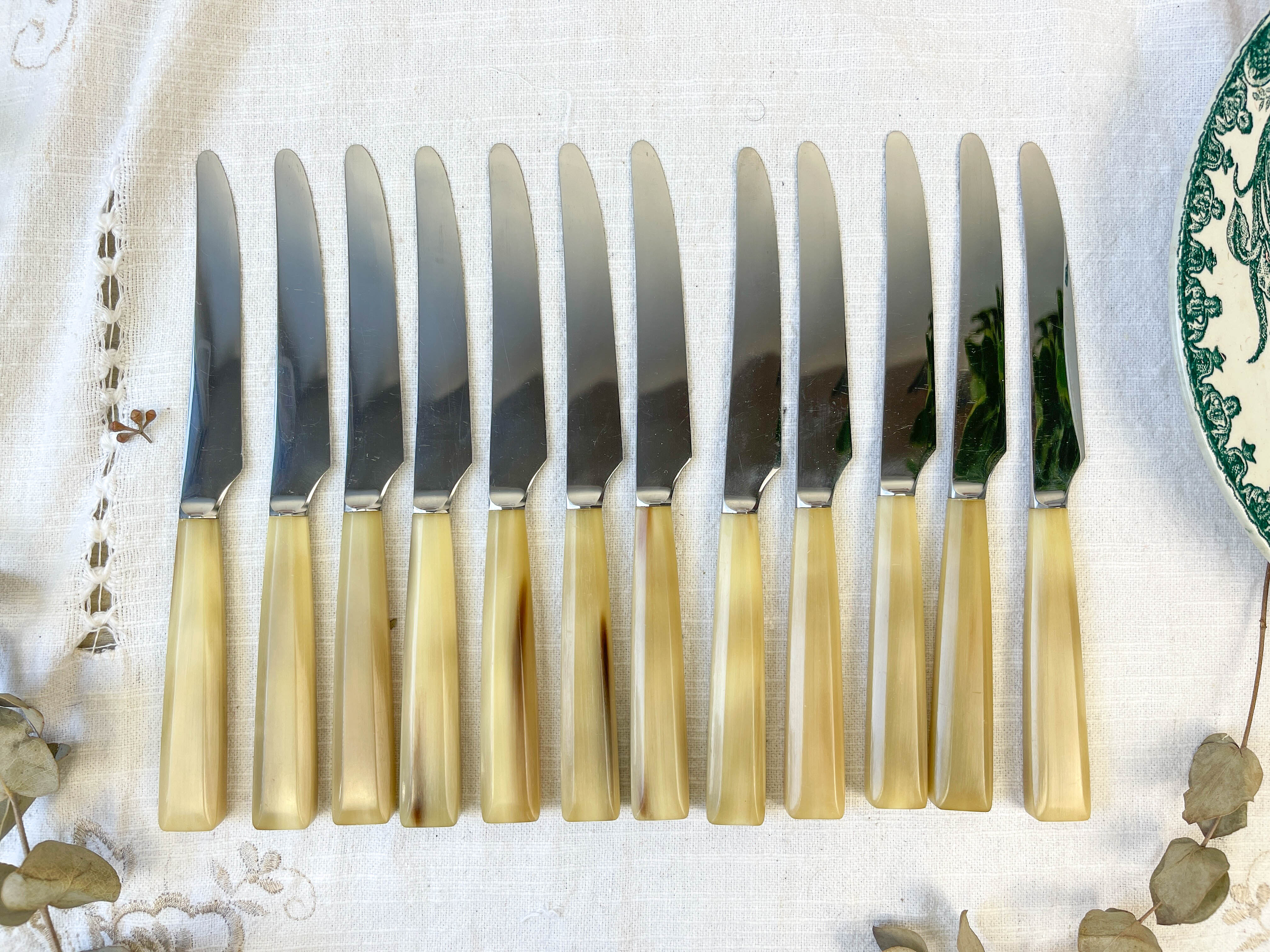 12 vintage knives NOGENT Bakélite imitation ivory