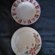 8 assiettes creuses anciennes dépareillées 