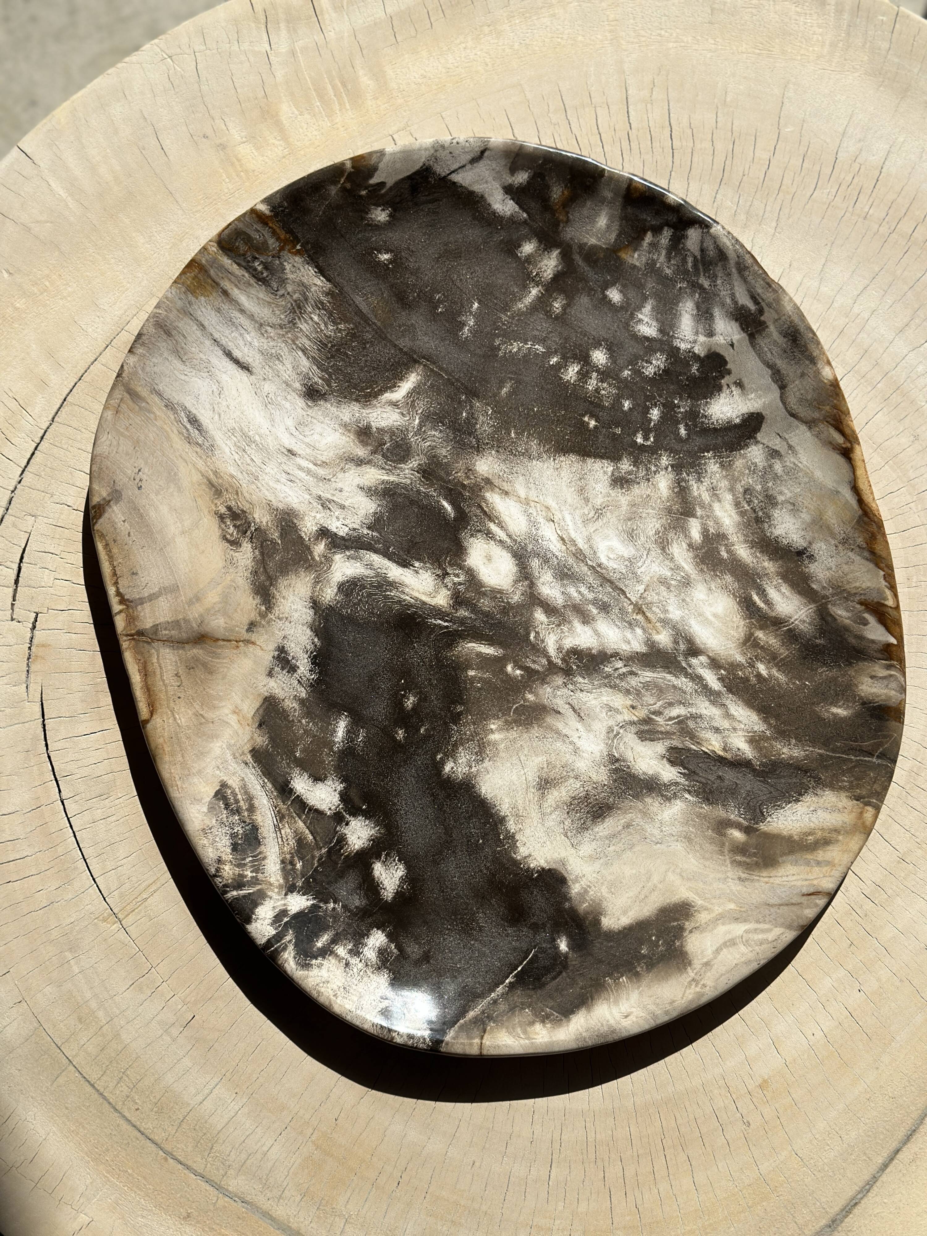 Very large pocket or dish in petrified wood