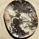 Very large pocket or dish in petrified wood