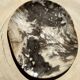 Very large pocket or dish in petrified wood