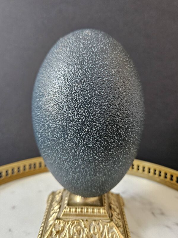 Oeuf d'Émeu, Socle Laiton (Début XXè) H : 16 cm   Objet de Curiosité